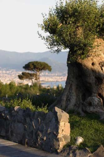 Palazzo Rosenthal Vesuview Hotel&Resort Trecase Esterno foto